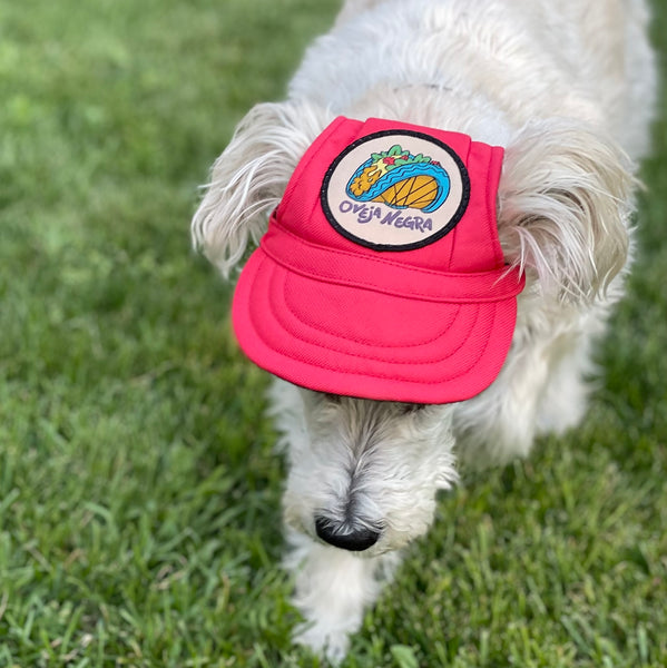 Dog Hats – Oveja Negra™