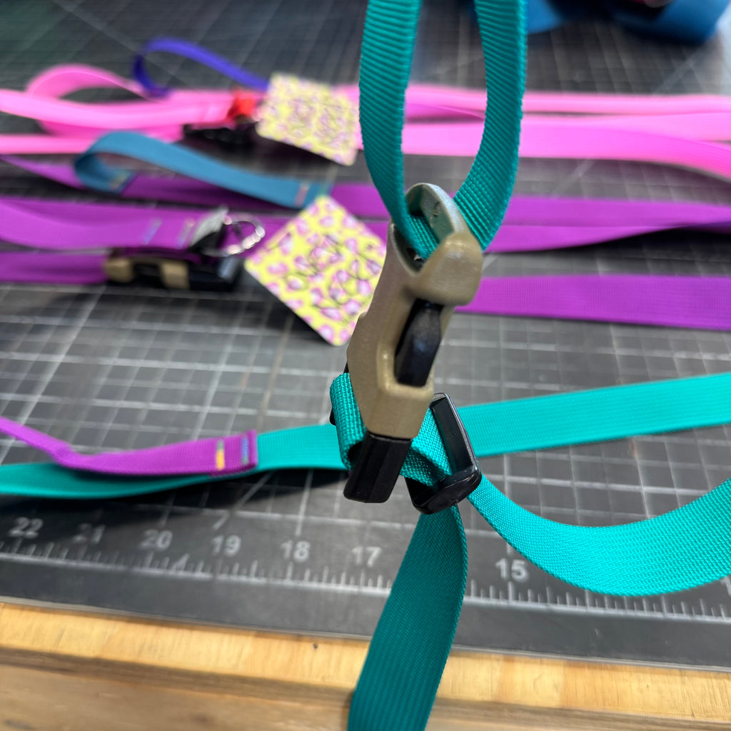 Wacky Walker Dog Leash