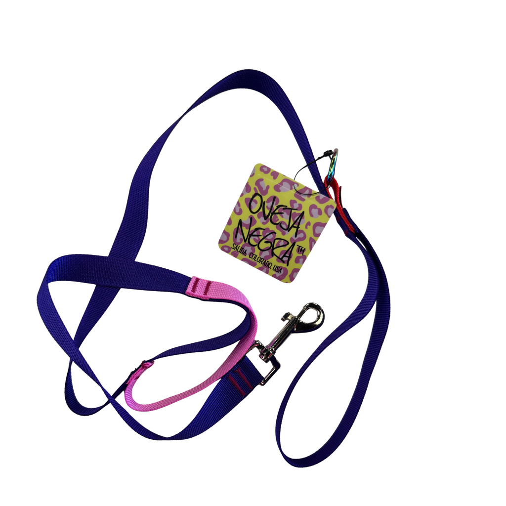 Wacky Walker Dog Leash