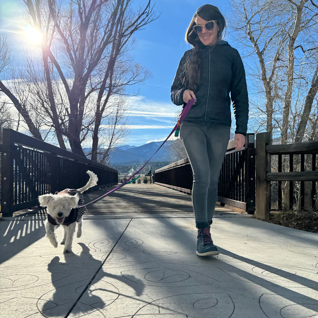 Wacky Walker Dog Leash