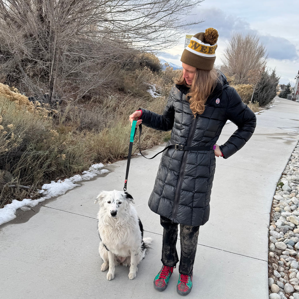 Wacky Walker Dog Leash