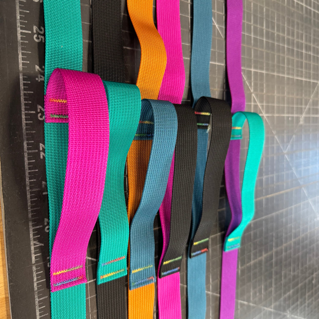 Wacky Walker Dog Leash