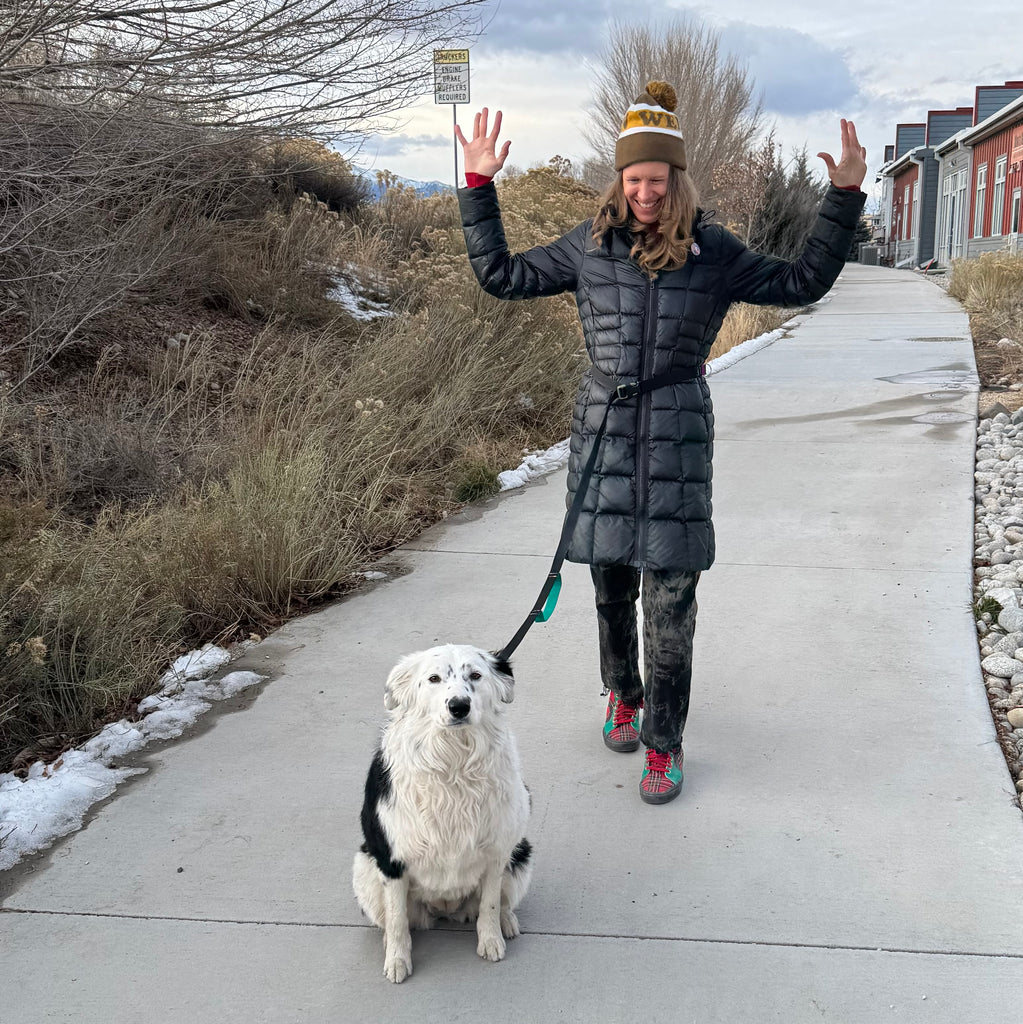 Wacky Walker Dog Leash