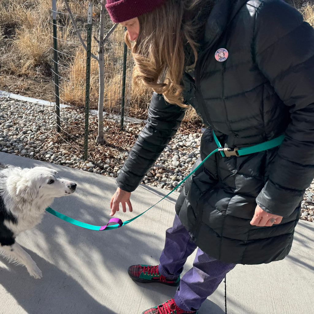 Wacky Walker Dog Leash