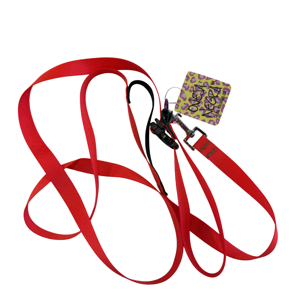 Wacky Walker Dog Leash