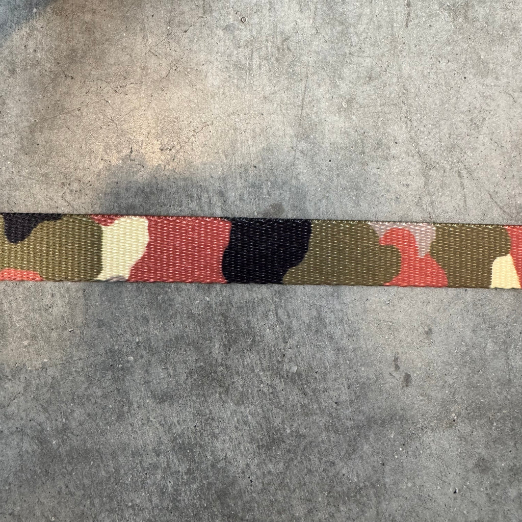 Kooky Dog Collar