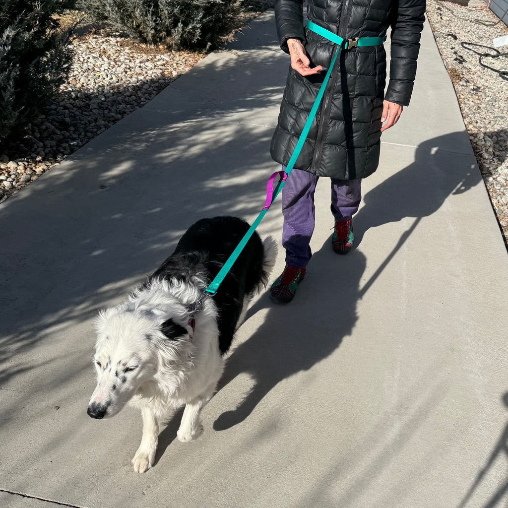 Wacky Walker Dog Leash