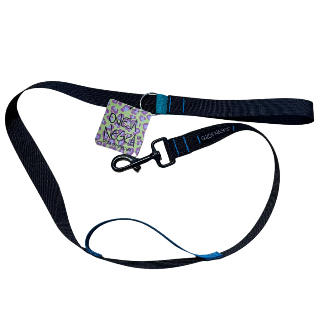 Wacky Walker Dog Leash