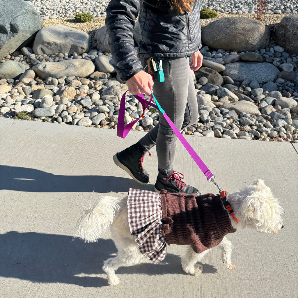 Wacky Walker Dog Leash