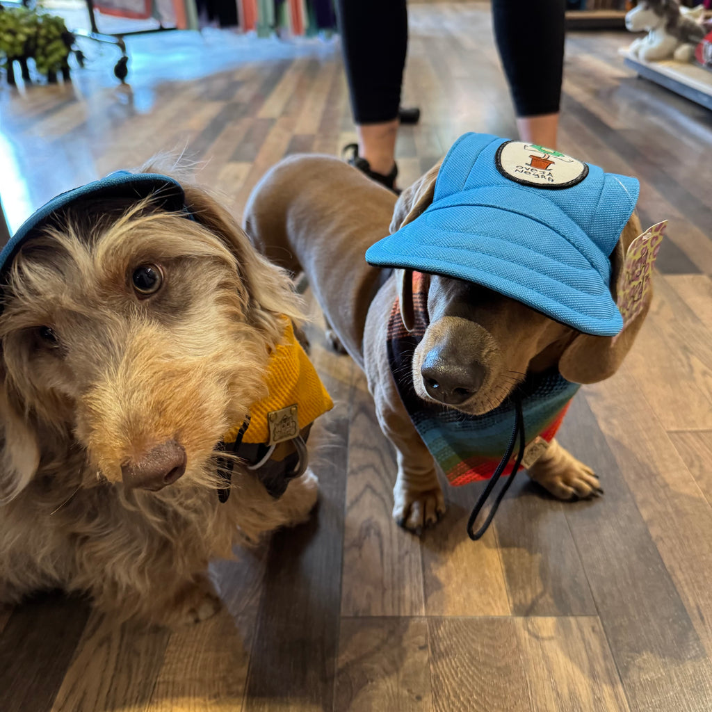 Dog Hats