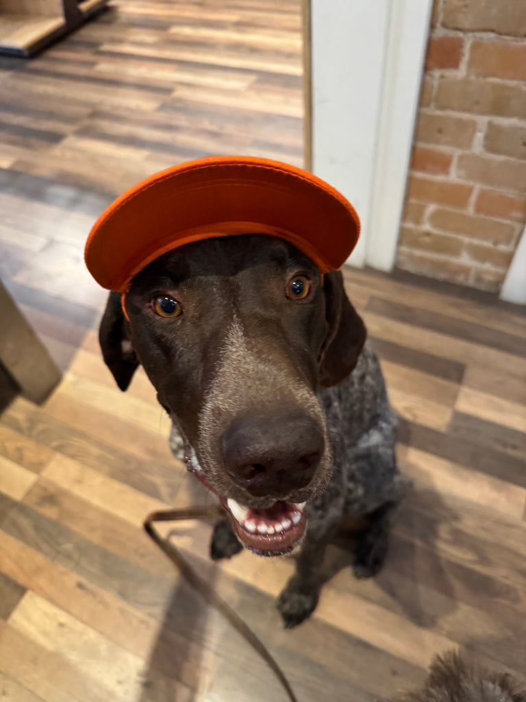 Pup Lid Foamy Dog Hats