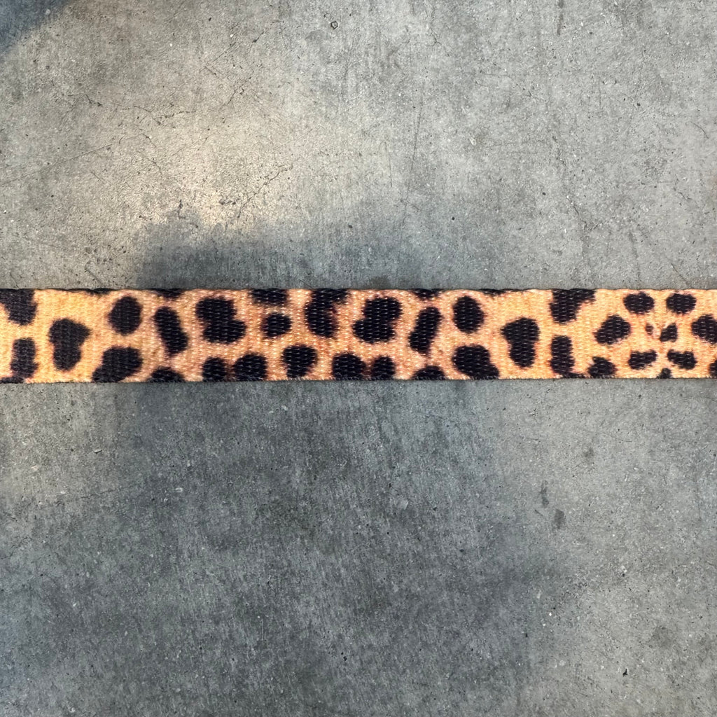 Kooky Dog Collar