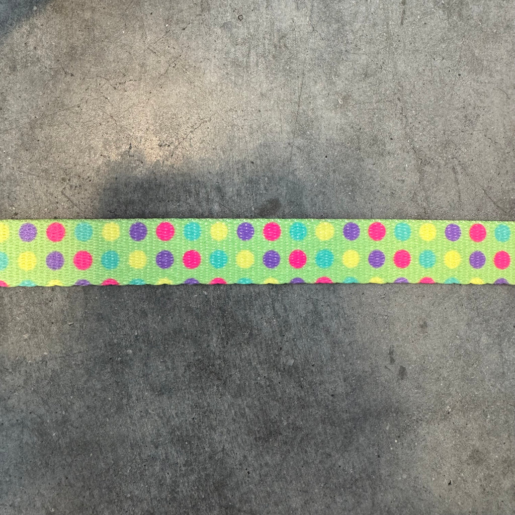 Kooky Dog Collar