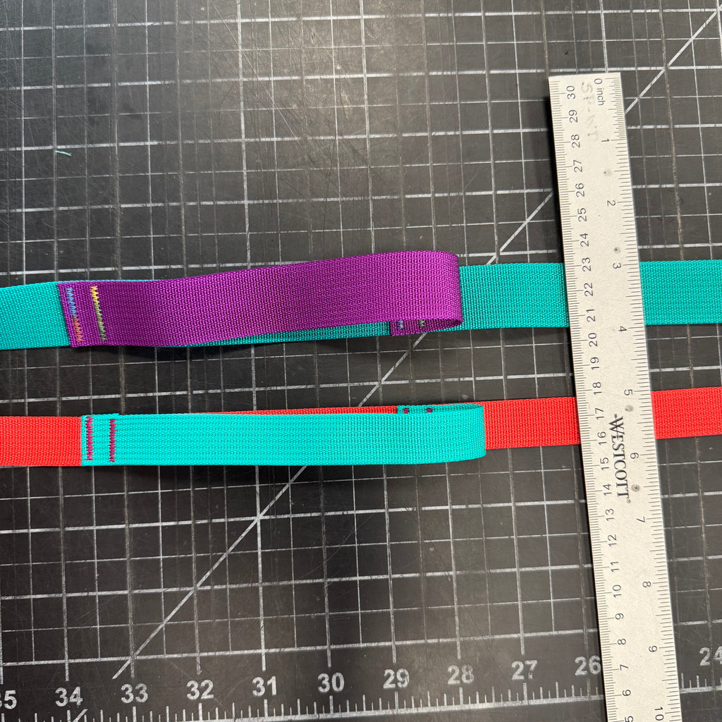 Wacky Walker Dog Leash