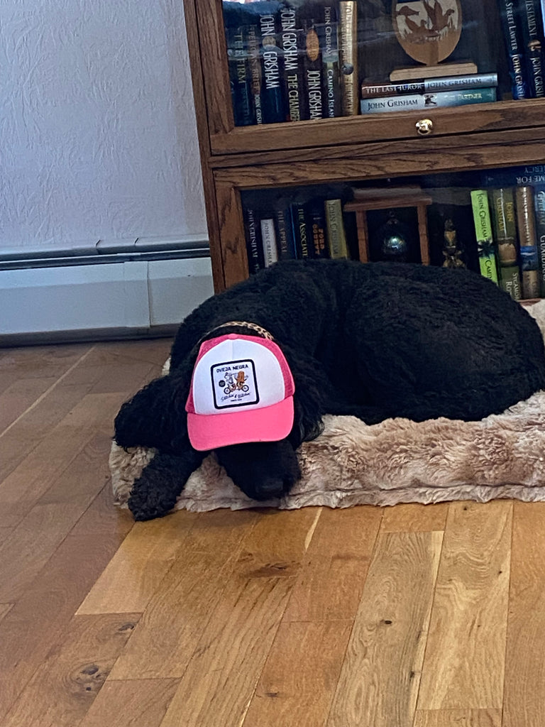 Pup Lid Foamy Dog Hats