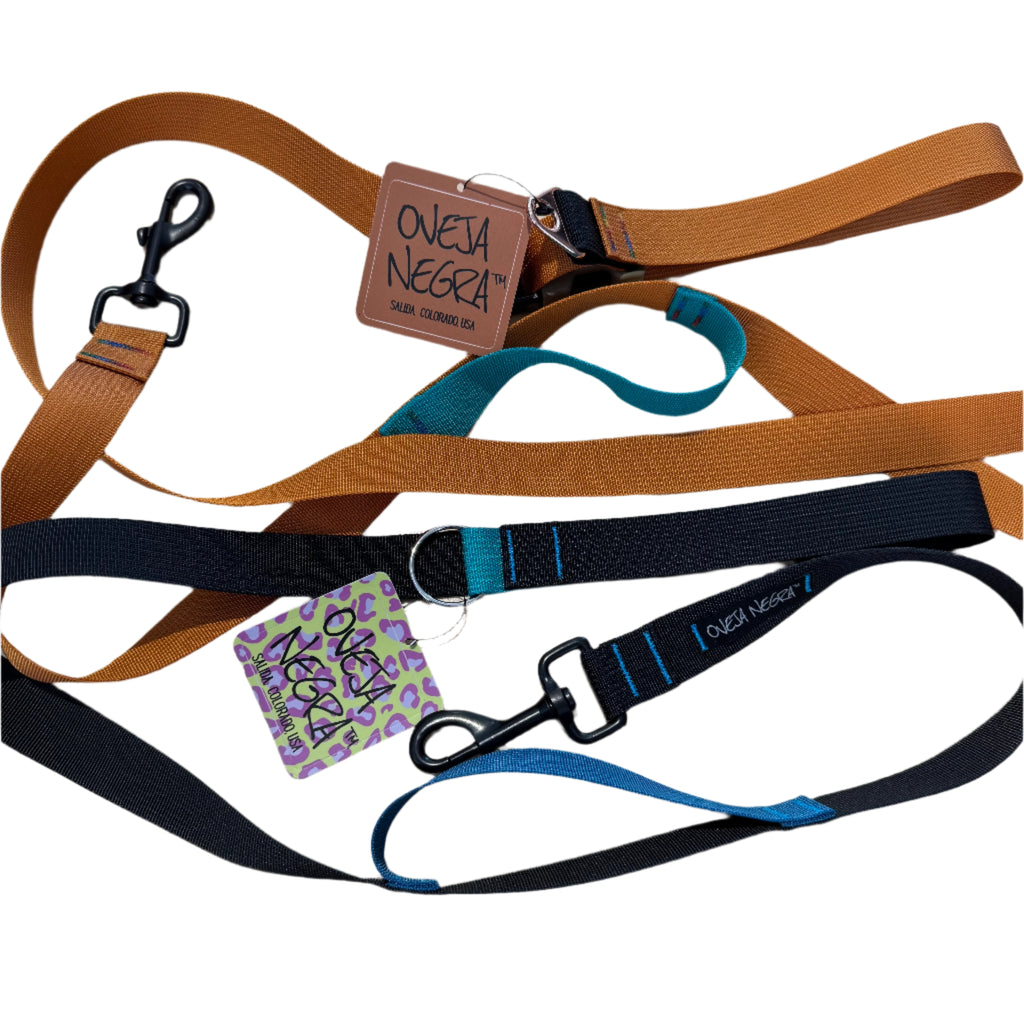 Wacky Walker Dog Leash