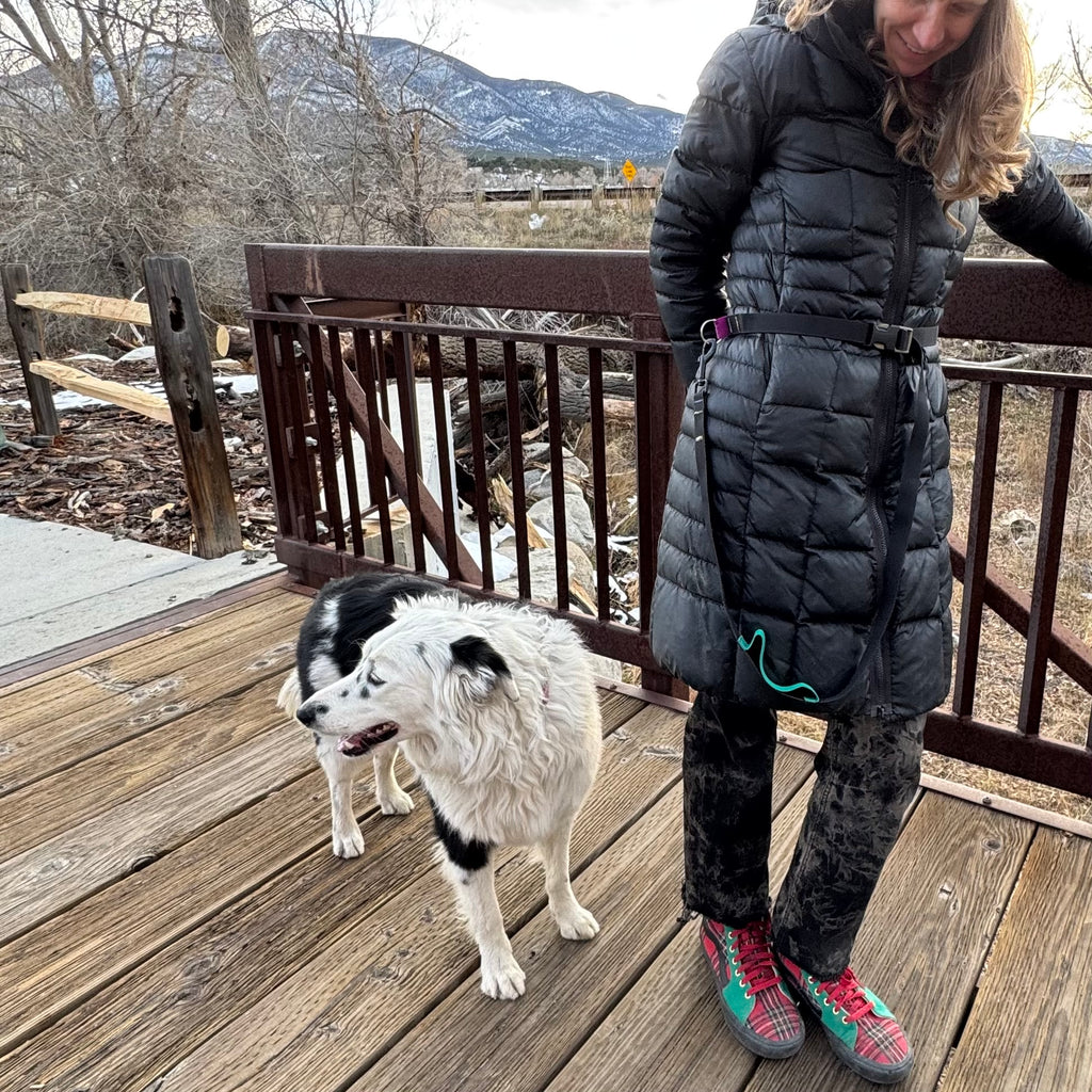 Wacky Walker Dog Leash