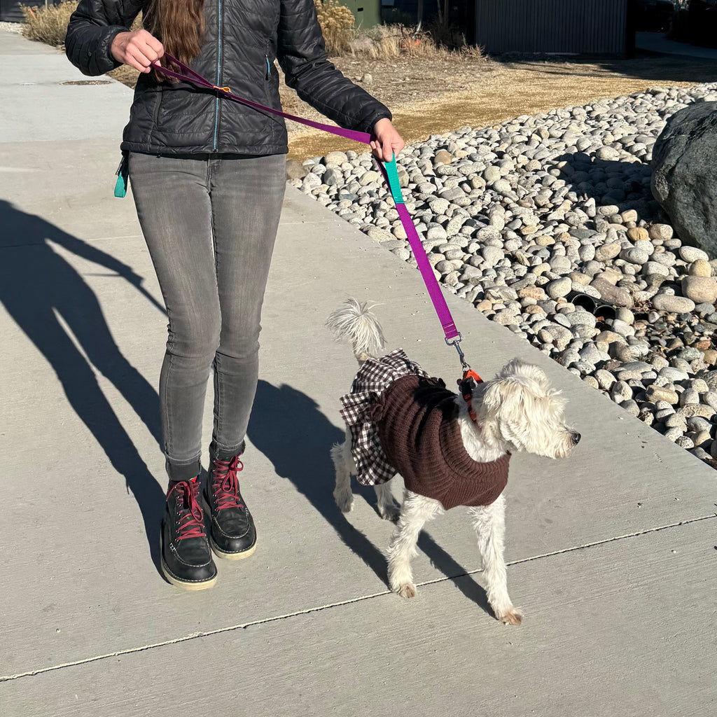 Wacky Walker Dog Leash