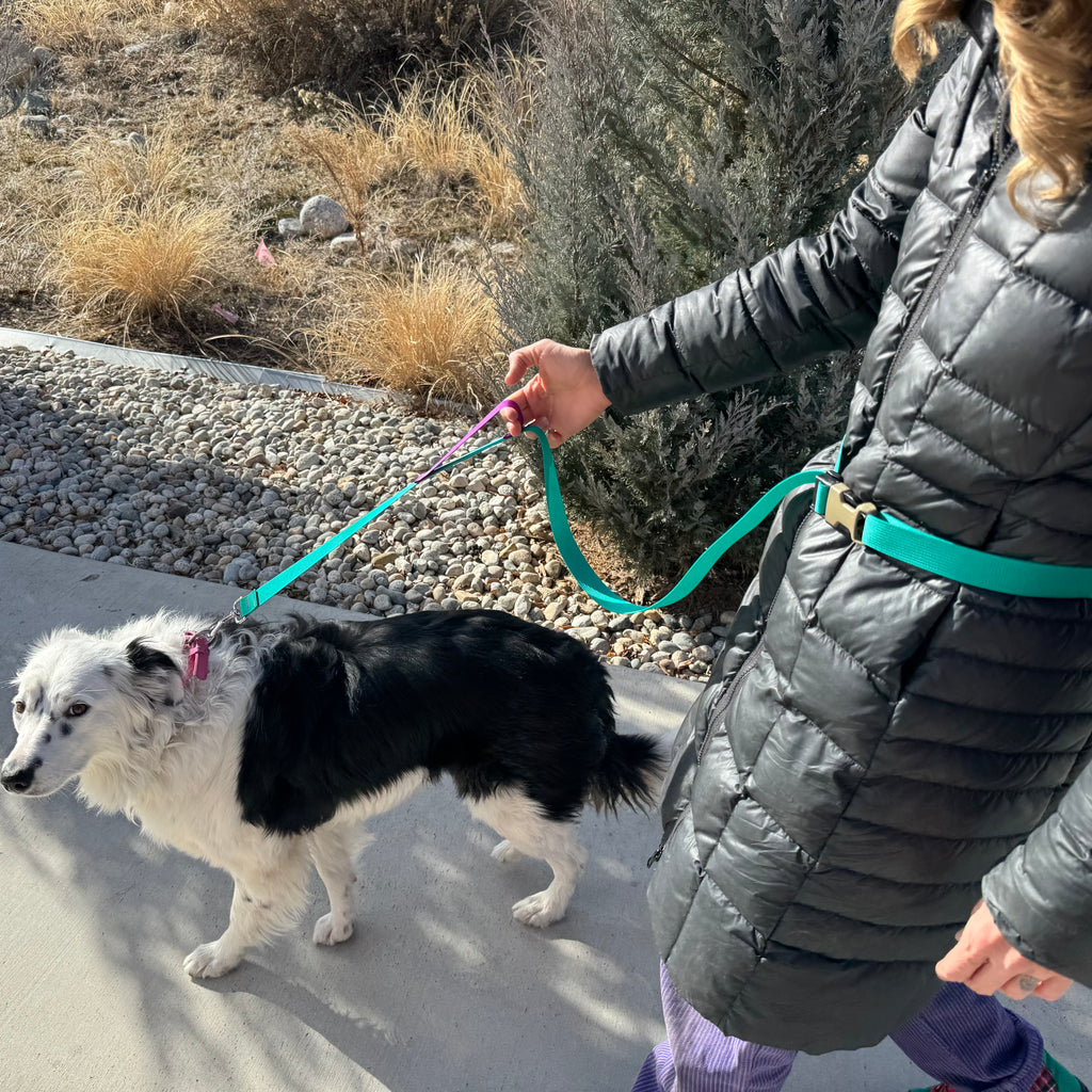 Wacky Walker Dog Leash