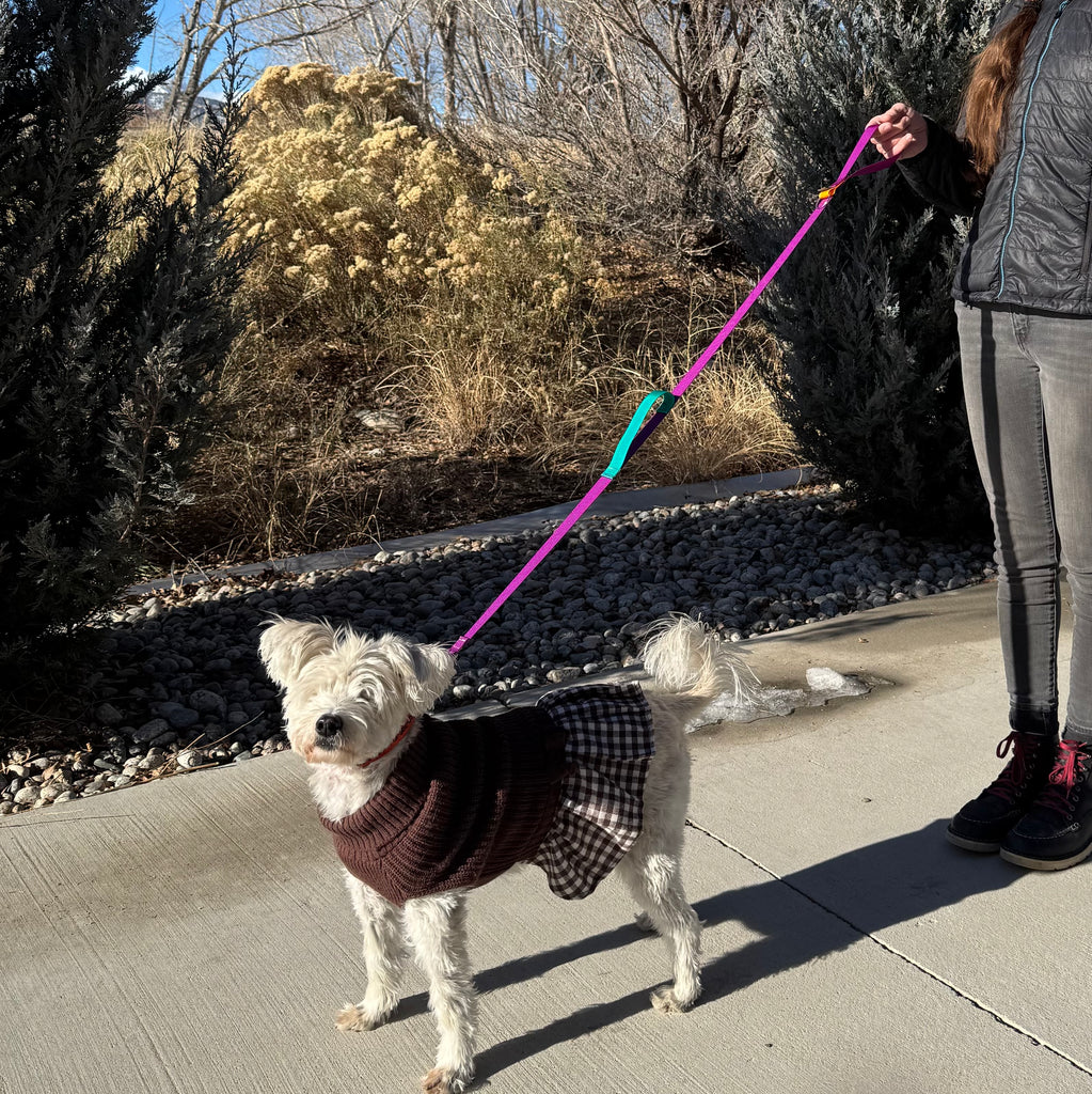 Wacky Walker Dog Leash