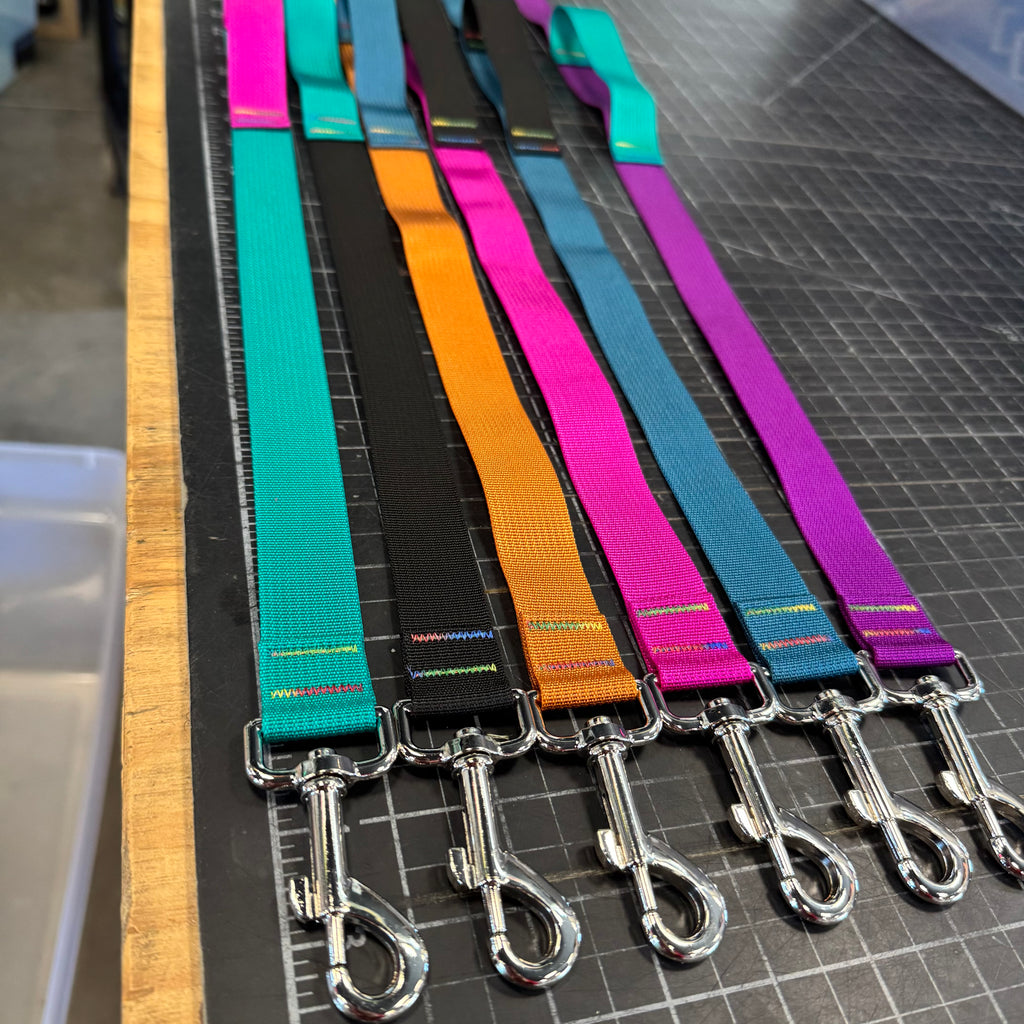 Wacky Walker Dog Leash