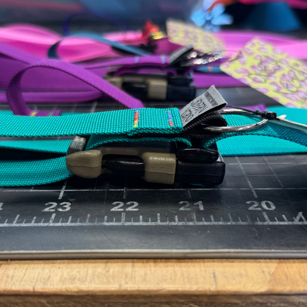 Wacky Walker Dog Leash