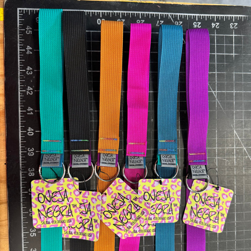 Wacky Walker Dog Leash