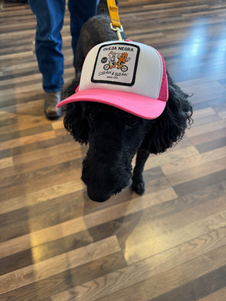 Pup Lid Foamy Dog Hats