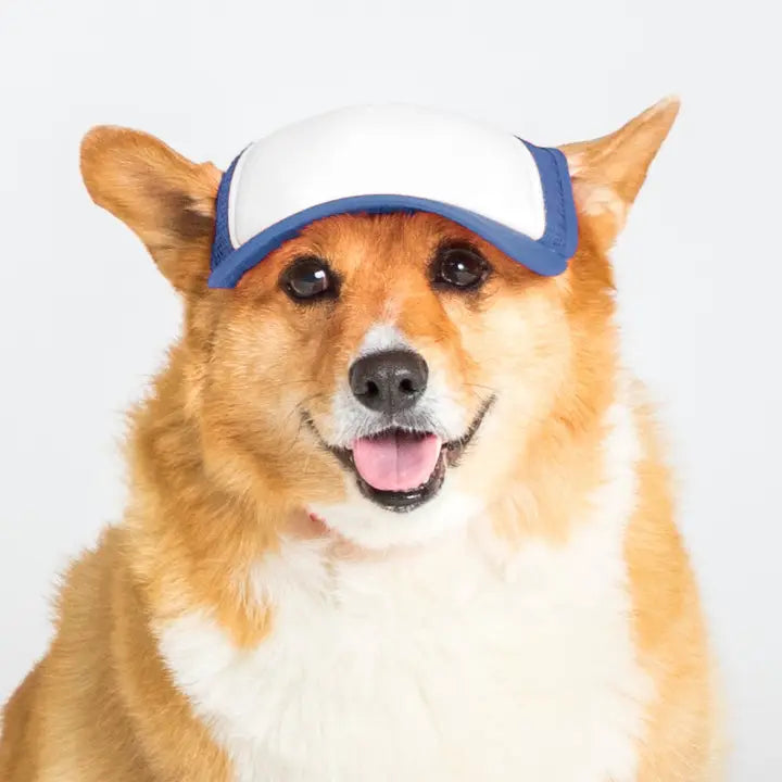 Pup Lid Foamy Dog Hats