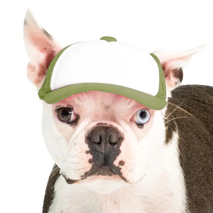 Pup Lid Foamy Dog Hats