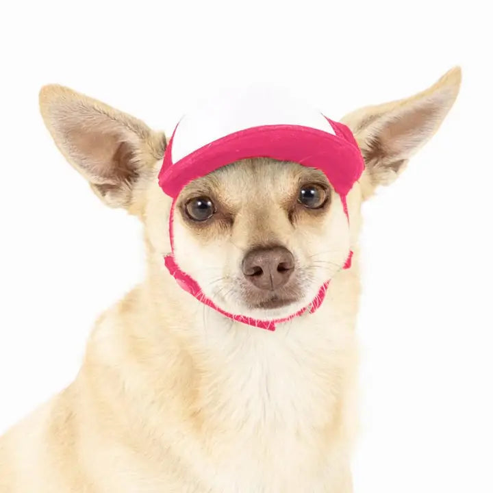 Pup Lid Foamy Dog Hats