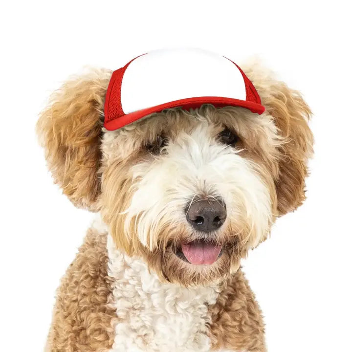 Pup Lid Foamy Dog Hats