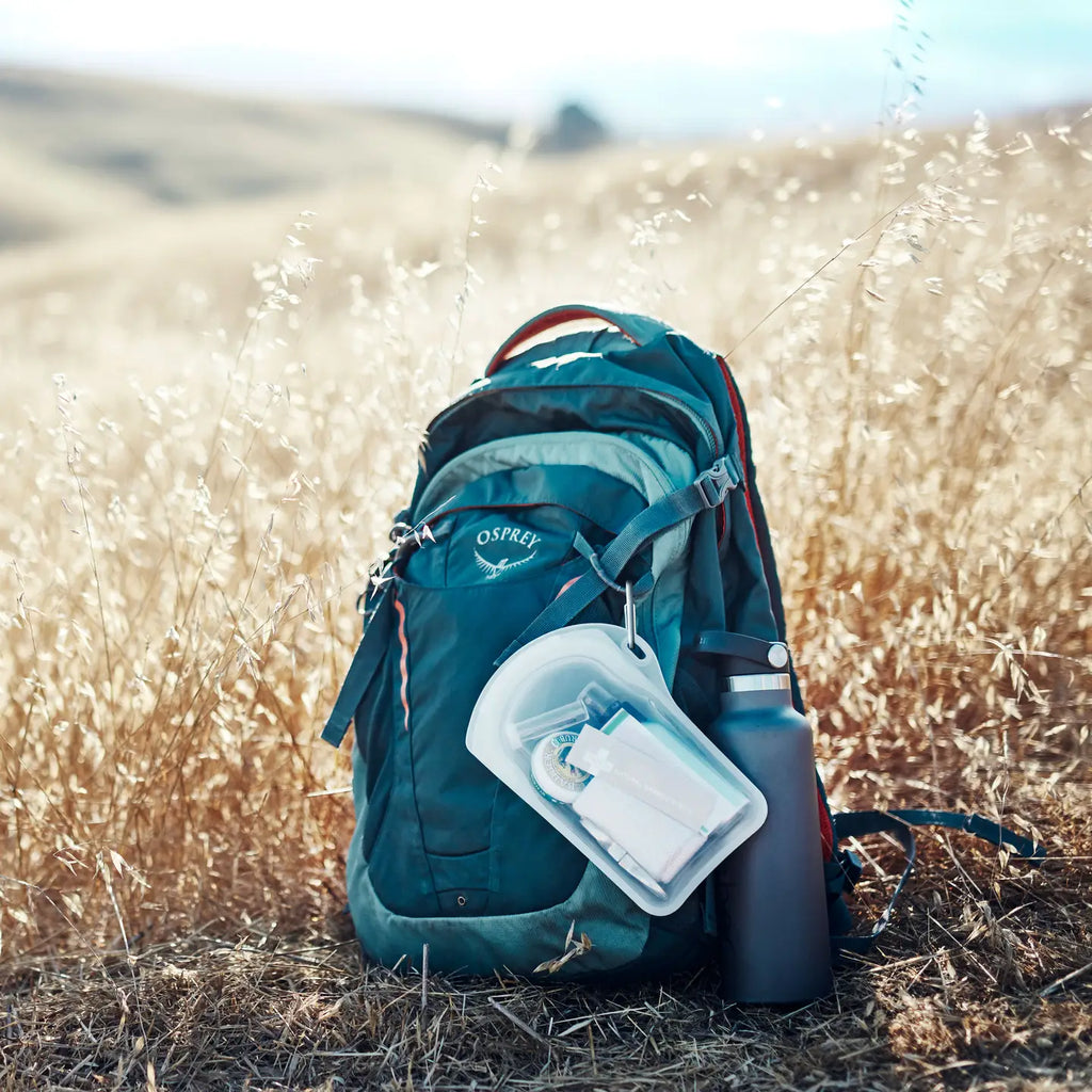 Stasher Silicon Travel Go Bag w/ Clip