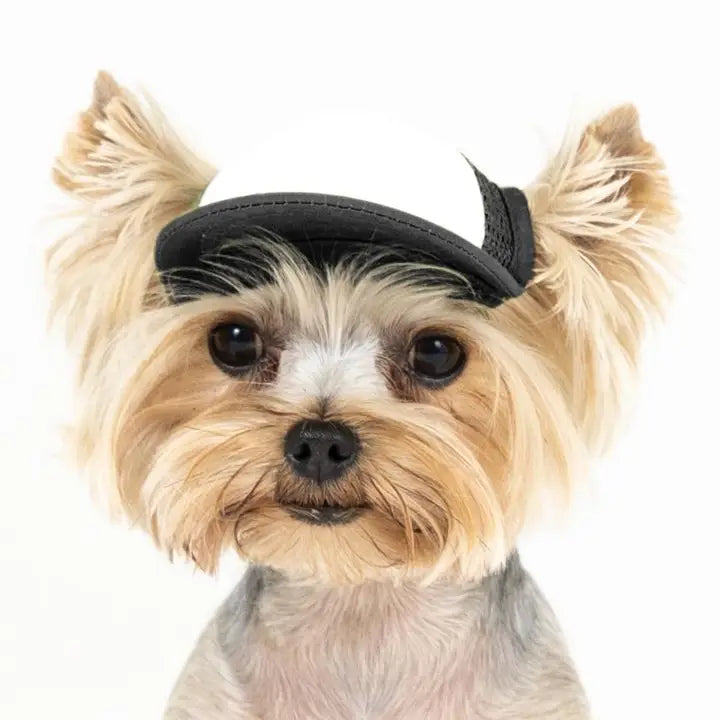 Pup Lid Foamy Dog Hats
