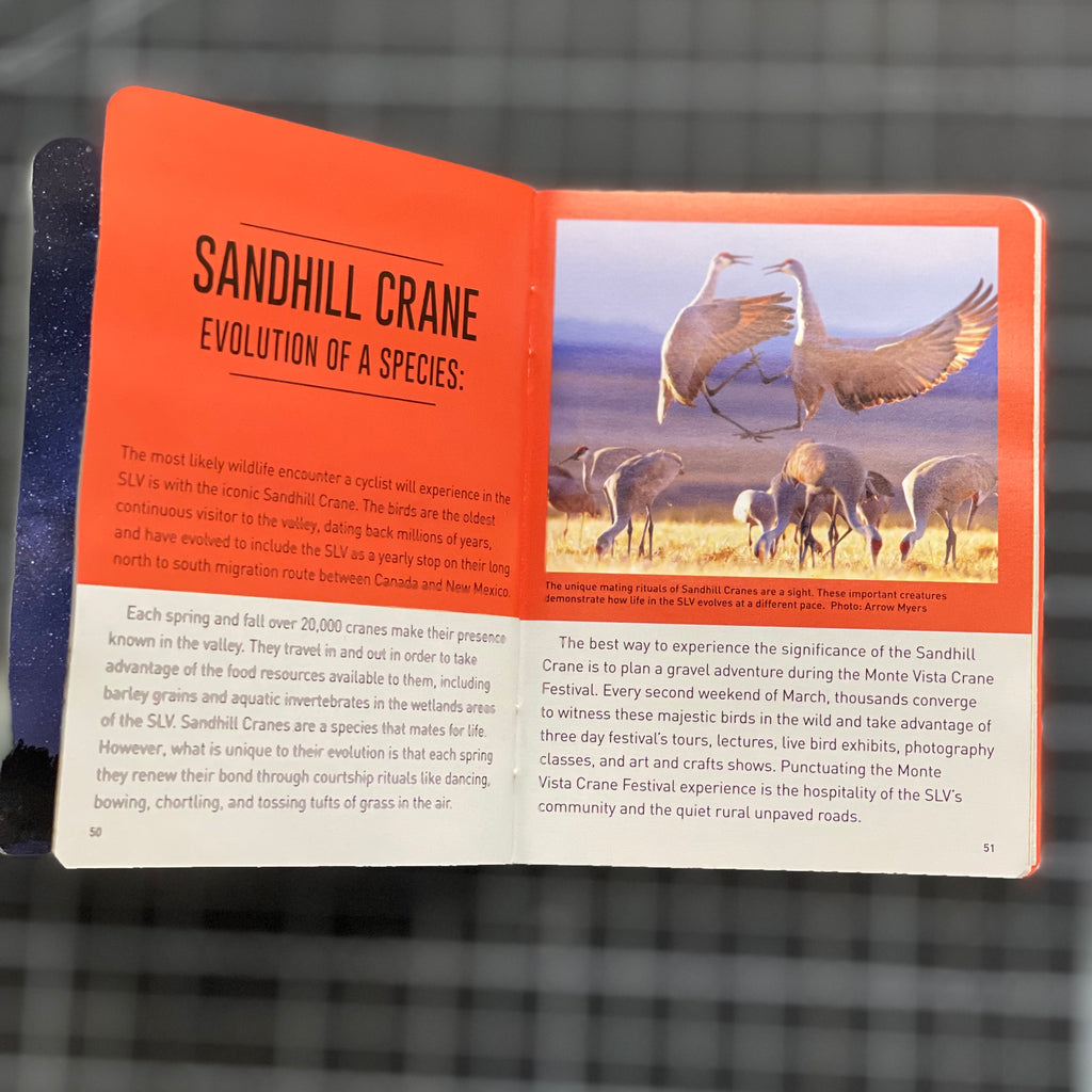 Gravel Adventure Field Guide