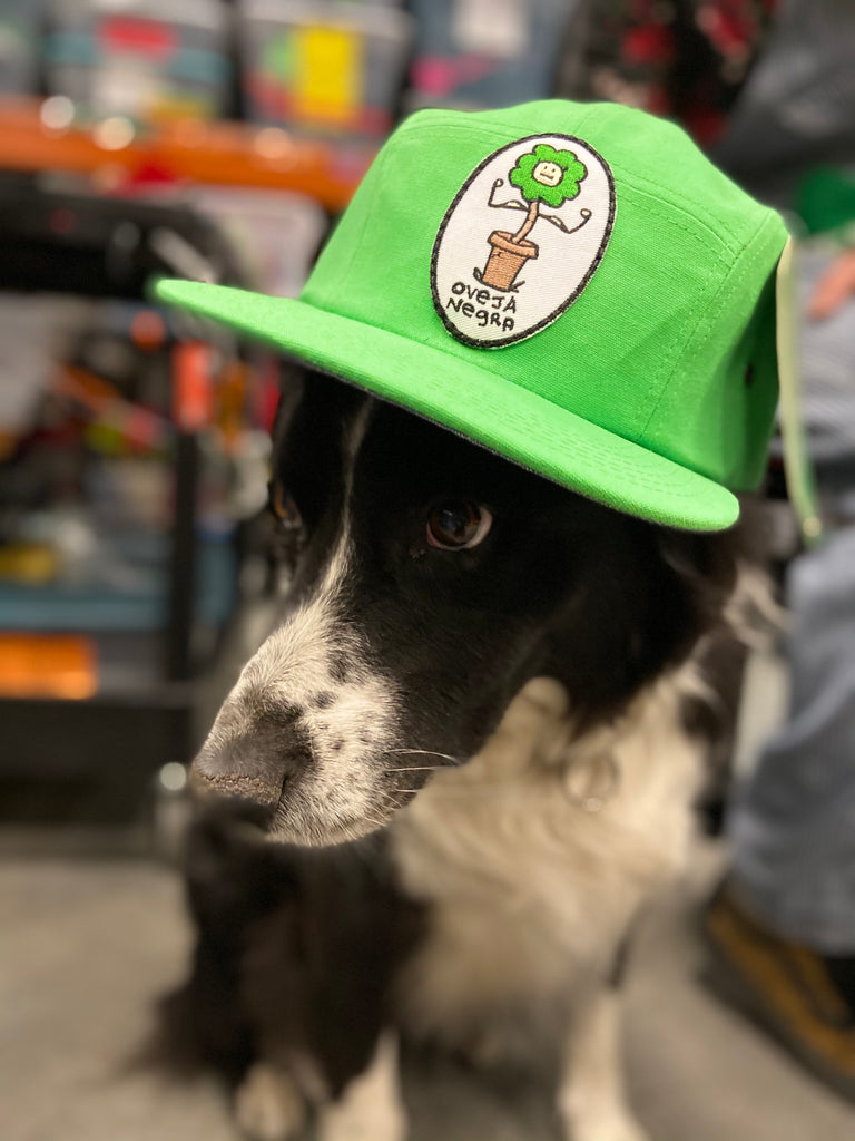Camper Hats - Customizable